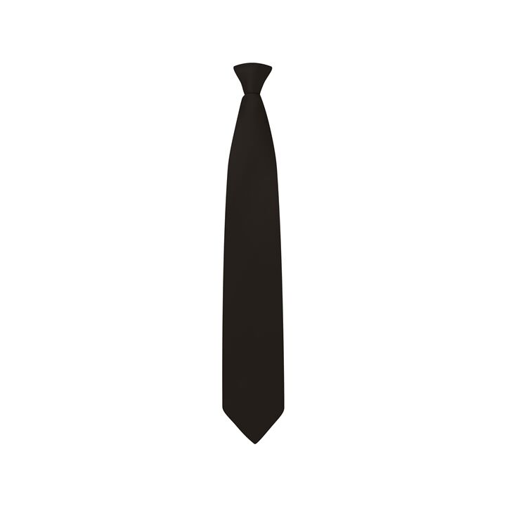 Black Clip on Tie